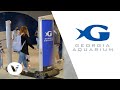Georgia Aquarium Transforms Guest Experience While Improving Security with Evolv Technology