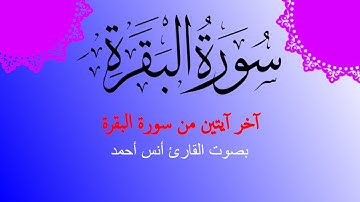 أواخر سورة البقرة بصوت القارئ أنس أحمد