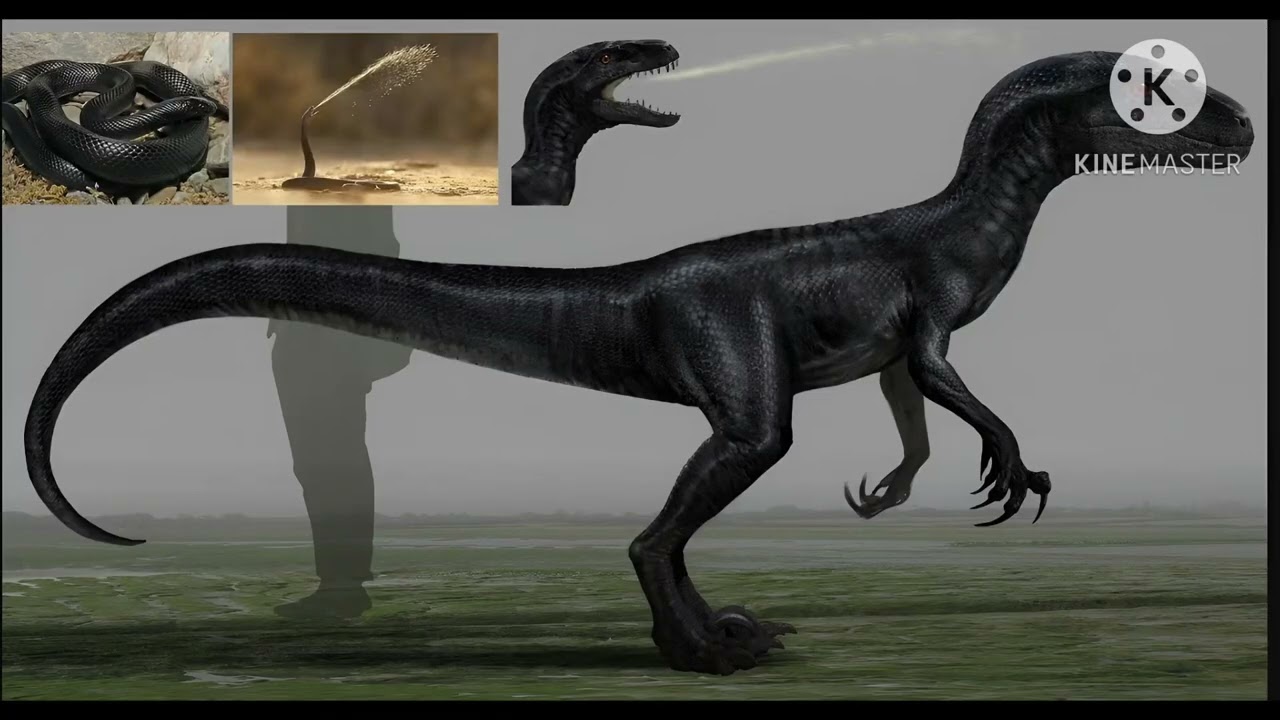 excavaraptor
