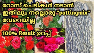 റോസാചെടികൾ പ്രാന്തുപിടിച്ചപോലെ വളരാൻ അത്ഭുത potting mix/ പരീക്ഷിച്ചു വിജയിച്ച Potting Mix