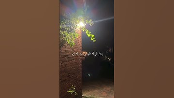القارئ شادي هاني 🤍