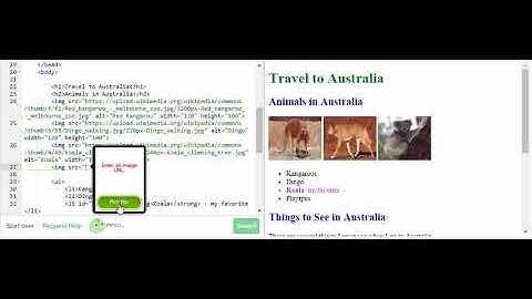Adding Wiki Image To Project