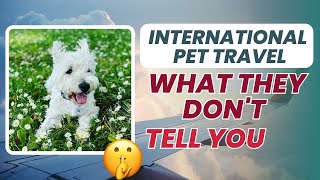 How To Travel With Your Pet Abroad 🐶YOU NEED TO KNOW THIS! by Travel Live Learn - Sarah & Cooper  315 views 1 year ago 18 minutes