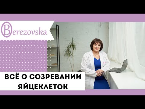 Все о созревании яйцеклеток и овуляции @DrOlenaB