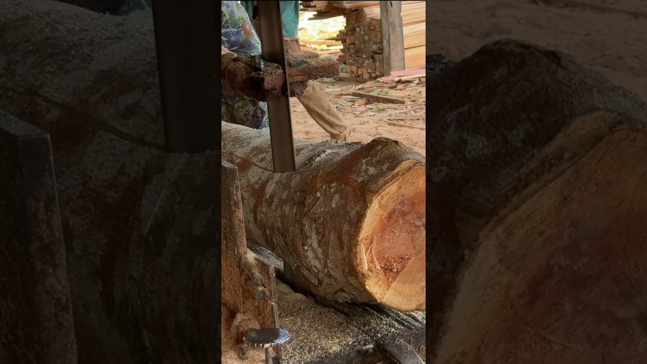 Perfecting Your Sawing Technique for Forest Wood 