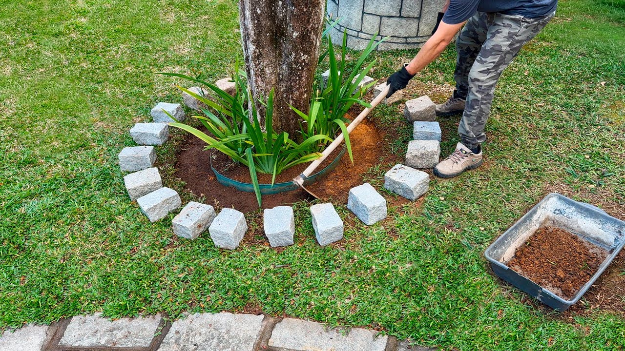Refazendo um Canteiro embaixo da Árvore!🌳