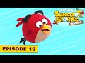 Angry Birds Slingshot Stories S3 | The Web Ep.19