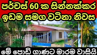 පර්චස් 60 ක සින්නක්කර ඉඩම හා නිවස ඉතාමත්ම අඩුවට| House for sale | Land for sale | Aduwata idam| idam