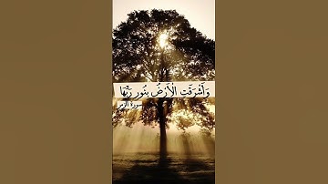 قرآن كريم بصوت عذب وخشوع تلاوة خاشعة تريح القلب #ابراهيم #اكسبلور #المصحف #راحة_نفسية #لايك #تيك_توك