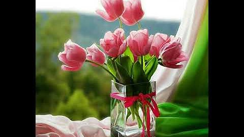 Surah Al Nnaas ( 114 ) سورة النّاس 💚 Idris Abkar