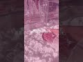 無断転載は犯罪です#生活音 #生活音asmr #コスメ #メイク #セザンヌ #バズれ