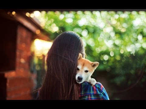 Video: Nombrar A Tu Cachorro
