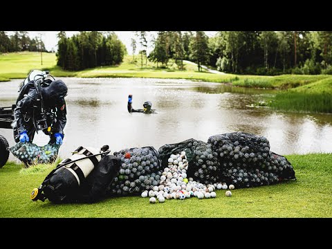 Video: Denna Labrador Retriever Kan Hjälpa Till Att Hitta Förlorade Golfbollar