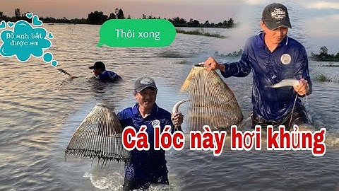 Đẩy Côn Miền Tây | Những Ngày Kết Thúc Mùa Nước Nổi 