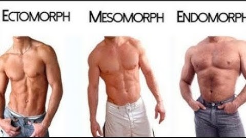 Ectomorph , Endomorph , Mesomorph (  The 3 Different Body Types )