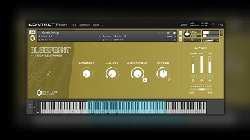 Blueprint Gentle Strings FREE Kontakt Player library (no talking)