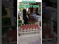 SCHOOL EXHIBITION/EXIBITION #youtubeshorts #school #exihibition #easy #place #shorts #youtube #share