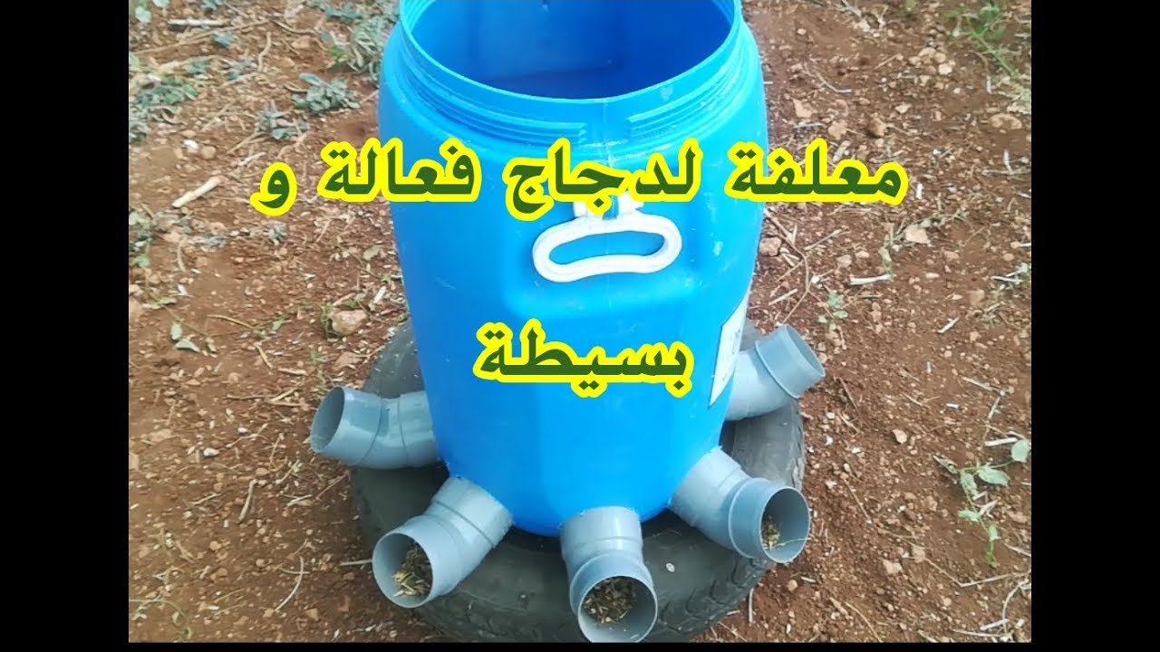 اصنع بنفسك معلفة لدجاج  فعالة و سهلة!