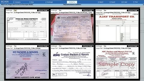 (Buy TDL Source Code Only Rs 450) Attach Any Image within Invoice Print in Tally Prime 6.0 Updated