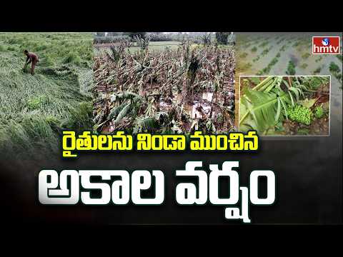 రైతులను నిండా ముంచిన అకాల వర్షాలు | Farmers Struggles with Unseasonal Rains | hmtv