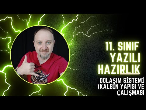 2024 AYT BİYOLOJİ KALBİN YAPISI  VE ÇALIŞMASI