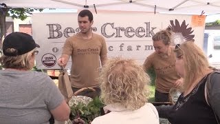 Bear Creek Organics