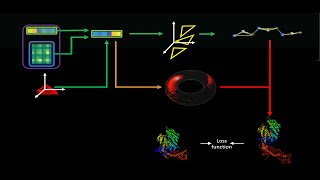 Nazim Bouatta | Machine learning for protein structure prediction, Part 2: AlphaFold2 architecture