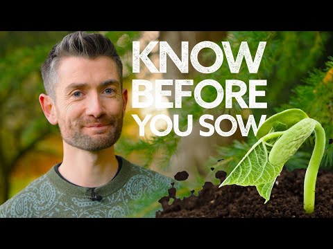 Video: Kaip veikia universalus valgomumo testas – būdai, kaip patikrinti augalo tinkamumą valgyti