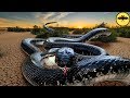 Serpientes Espeluznantes Podrían Habitar el Planeta. (Top 5)
