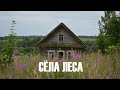 Сёла леса. Как живут и вымирают тверские деревни