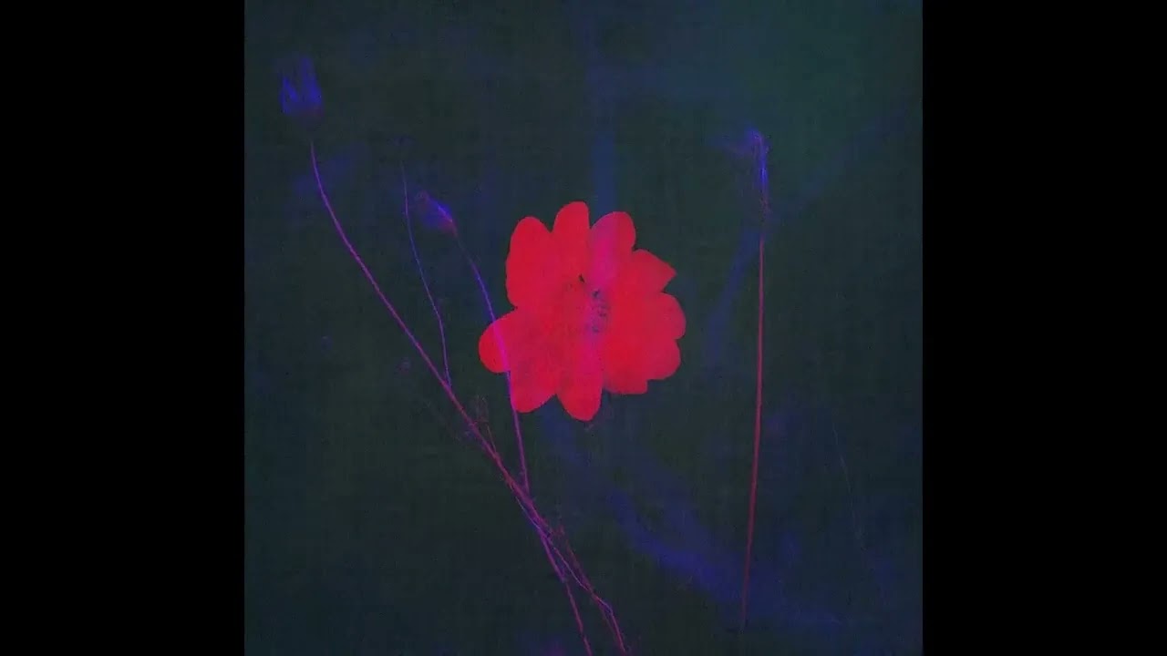 (FREE) NAV Type Beat "Arguas"