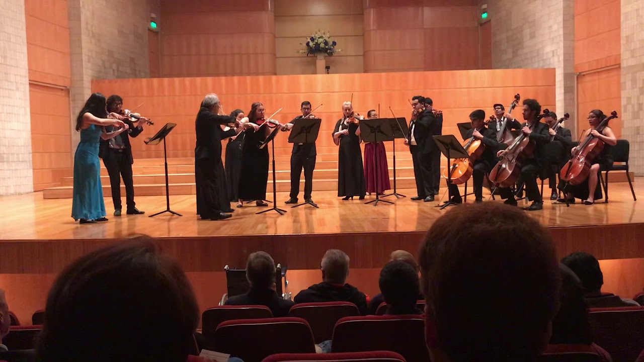 Elgar Serenade for Strings YouTube