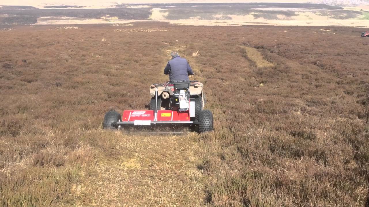 LOGIC SCRUB BUSTER CUTTING PART 2 YouTube