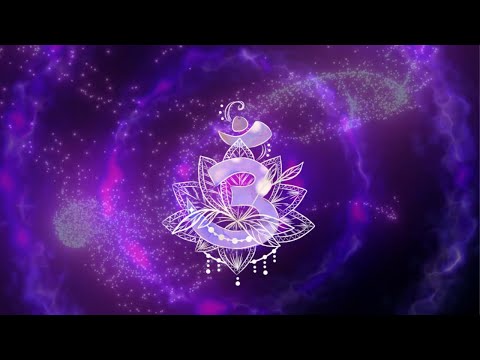 CHAMA VIOLETA 🕊