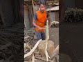 One-Hand Wood Cutting Technique 🪵🔪