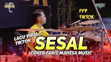 SESAL VIRAL TIK TOK FARIS KENDANG RANCAK BANGET MAHESA MUSIC DHEHAN PRO