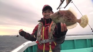 #028 サソイが秘訣の楽しいカワハギ釣りが開幕！！