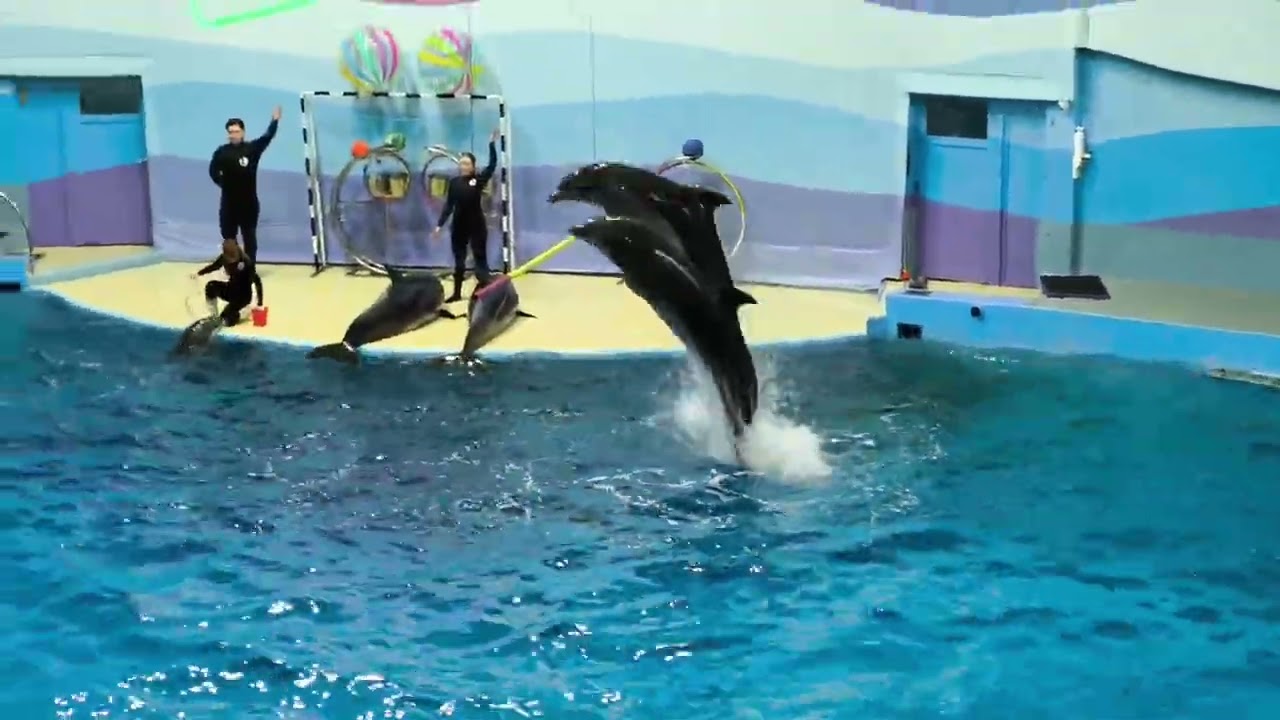 17 февраля 2026 г.