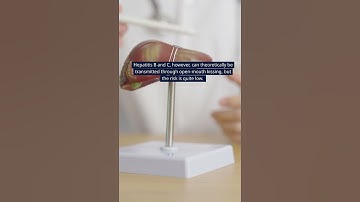Can Hepatitis Be Transmitted Through Kissing? #shorts