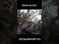 Охота на гуся,  ОКОЛЬЦОВАННЫЙ ГУСЬ  #shorts #hunting #reels