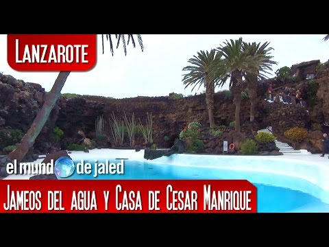 que ver en cantabria con bebe Lanzarote | Jameos del agua y Fundación Cesar Manrique