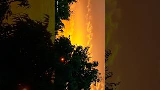 How to take photos using Snapshot mode on the Vivo T4 Pro –#perfectcamera #instantcamera #ultrazoom