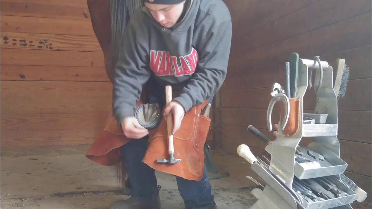 nailing on and clinching a horseshoe on a Standardbred pacer YouTube