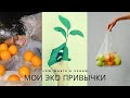 Как Я Могу Помочь Планете (что я делаю для экологии и ты можешь тоже)