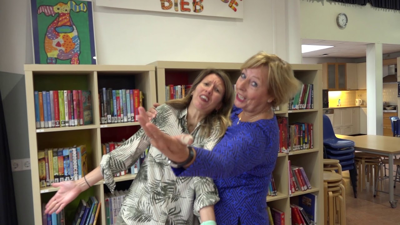 vacature directeur School aaan de Vijver