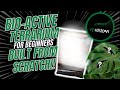 Bio-active Terrarium for BEGINNERS! Built from scratch😱