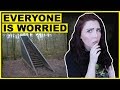 The Stairs In The Woods Phenomenon Everyone Is Worried About