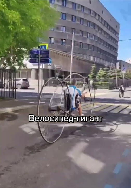 #Велосипед гигант в Хамовниках #велофестиваль #московскийвелофестиваль ...