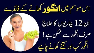 Angoor Ke Fayde Angur Khane Ke Fayde Benefits Of Gs Angoor Ke Fawaid Gs G