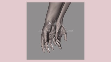 The Anahit: Switch Me On (Anima Sound System - cover)